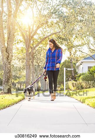 Stock Photo - Woman walking her dog. Fotosearch