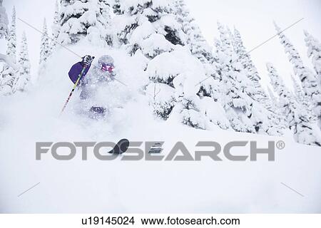 Young man skiing in forest View Large Photo Image Picture - Young man skiing in forest. Fotosearch