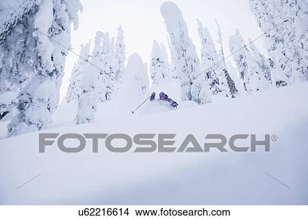 Picture - Young man skiing in forest. Fotosearch