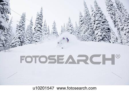Young man skiing in forest View Large Photo Image Stock Photo - Young man skiing in forest. Fotosearch