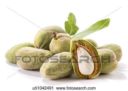 Almond in its shell View Large Photo Image Stock Image - Almond in its shell. Fotosearch