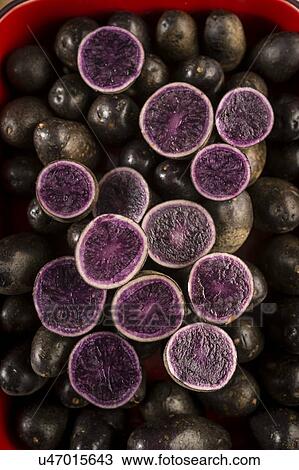 Blaue (blue) st galler potatoes View Large Photo Image Stock Image - Blaue (blue) st galler potatoes. Fotosearch