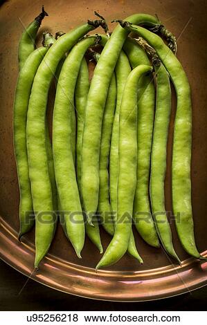 Stock Photo - Broad beans. Fotosearch