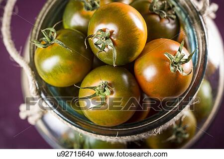 Stock Image - Camone tomatoes. Fotosearch