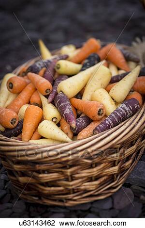 Stock Image - Chanteney carrots. Fotosearch