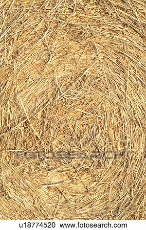 Close-up of hay bale View Large Photo Image Stock Image - Close-up of hay bale. Fotosearch