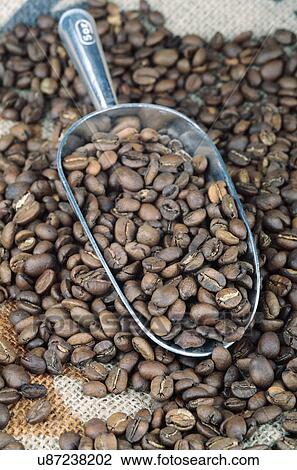 Stock Image - Coffee beans. Fotosearch