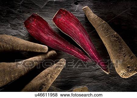 Crapaudine beetroot View Large Photo Image Stock Photo - Crapaudine beetroot. Fotosearch