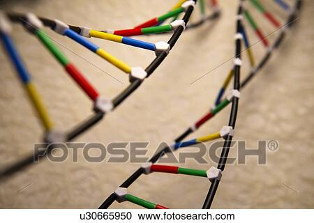 DNA View Large Illustration Clipart - DNA. Fotosearch