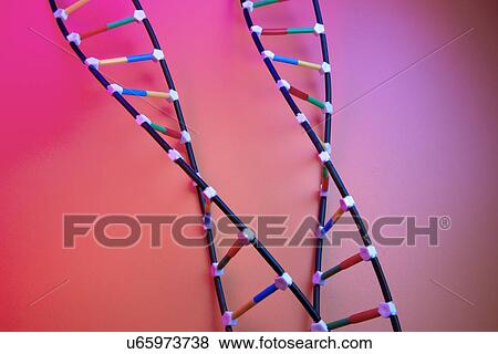 DNA View Large Illustration Stock Illustration - DNA. Fotosearch