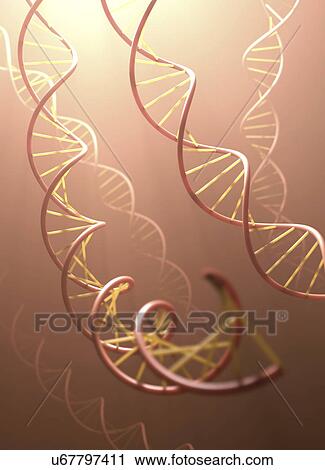 "DNA structure, illustration" View Large Illustration Clip Art - "DNA structure, illustration". Fotosearch