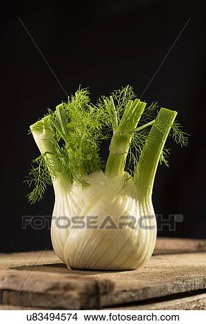 Fennel View Large Photo Image Picture - Fennel. Fotosearch
