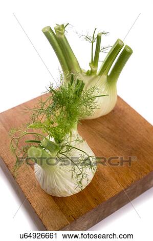 Stock Image - Fennel. Fotosearch