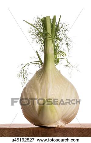 Fennel View Large Photo Image Stock Photo - Fennel. Fotosearch