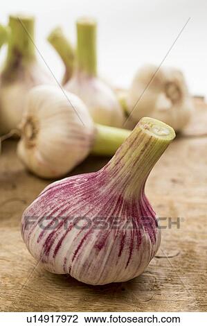 Stock Image - Fresh garlic. Fotosearch