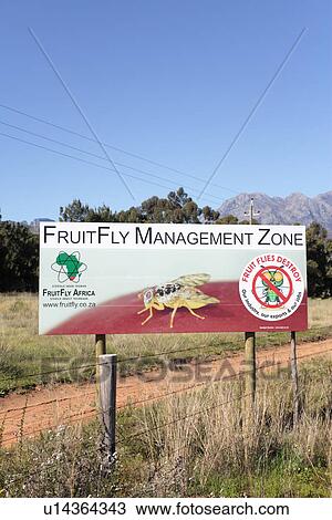 Stock Image - Fruit fly warning sign. Fotosearch
