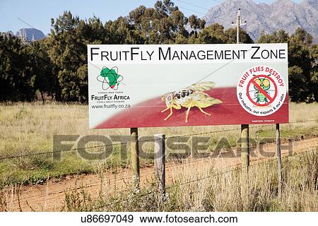 Stock Photo - Fruit fly warning sign. Fotosearch