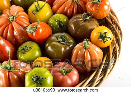 Heritage tomatoes View Large Photo Image Stock Image - Heritage tomatoes. Fotosearch