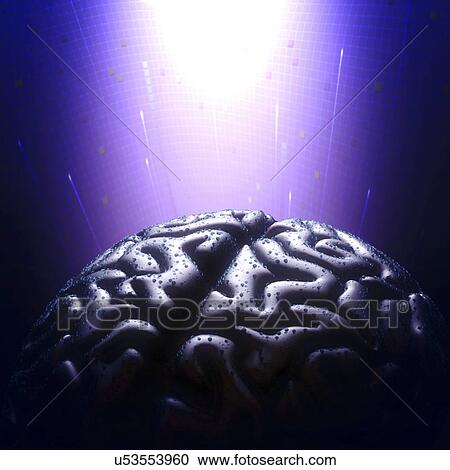 Clipart - "Human brain, illustration". Fotosearch