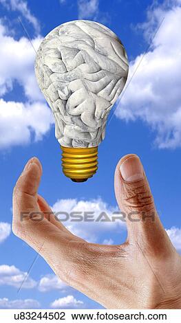 Drawing - Human brain in shape of lightbulb. Fotosearch