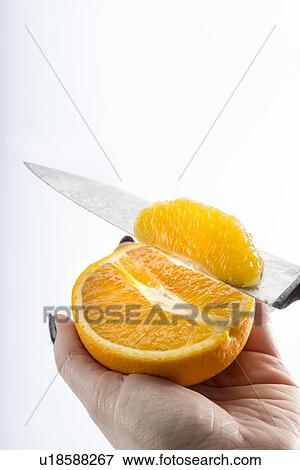 Person slicing an orange View Large Photo Image Stock Photo - Person slicing an orange. Fotosearch