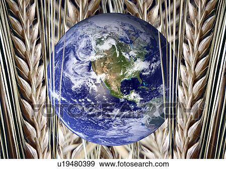 Planet earth and wheat View Large Illustration Stock Illustration - Planet earth and wheat. Fotosearch