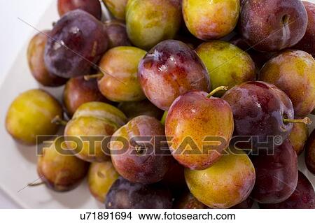 Plums View Large Photo Image Picture - Plums. Fotosearch
