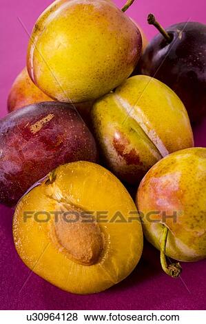 Stock Photo - Plums. Fotosearch