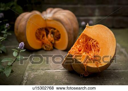 Pumpkin View Large Photo Image Stock Photo - Pumpkin. Fotosearch