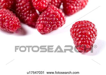 "Raspberries, studio shot" View Large Photo Image Stock Image - "Raspberries, studio shot". Fotosearch