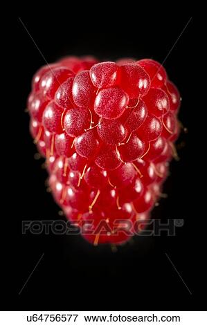 Raspberry against black background View Large Photo Image Stock Photo - Raspberry against black background. Fotosearch