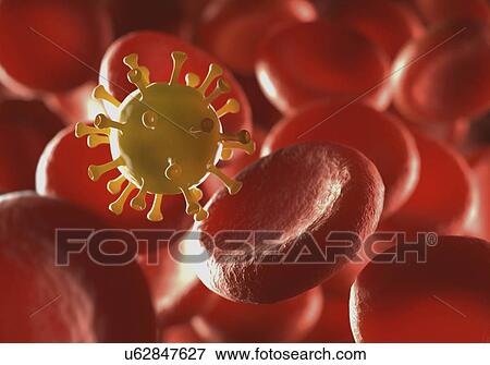 "Red blood cells and virus, illustration" View Large Illustration Stock Illustration - "Red blood cells and virus, illustration". Fotosearch