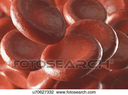 "Red blood cells, illustration" View Large Illustration Drawing - "Red blood cells, illustration". Fotosearch
