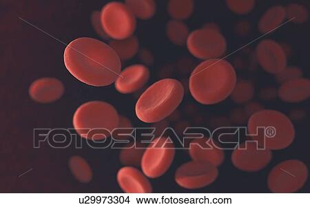 Stock Illustration - "Red blood cells, illustration". Fotosearch