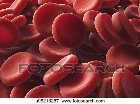 "Red blood cells, illustration" View Large Illustration Stock Illustration - "Red blood cells, illustration". Fotosearch