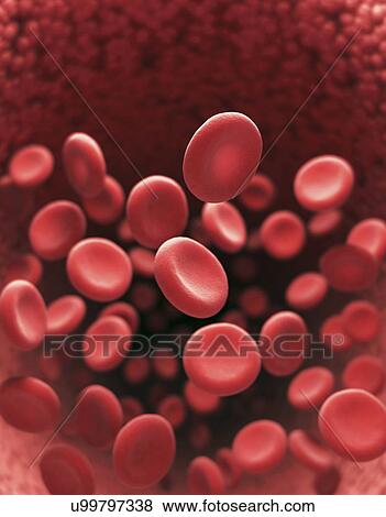 "Red blood cells, illustration" View Large Illustration Stock Illustration - "Red blood cells, illustration". Fotosearch