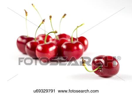 "Red cherries, studio shot" View Large Photo Image Stock Image - "Red cherries, studio shot". Fotosearch