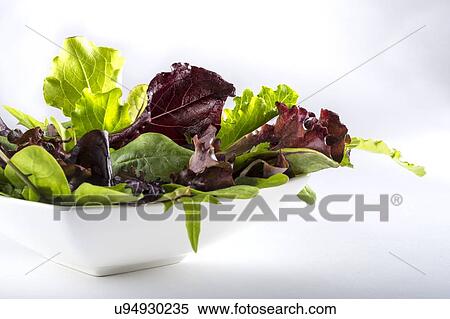 Salad leaves in white bowl View Large Photo Image Stock Photography - Salad leaves in white bowl. Fotosearch