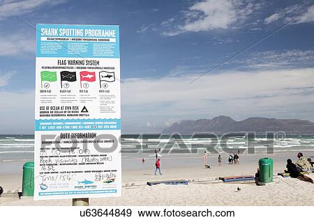 Shark attack warning sign View Large Photo Image Stock Photo - Shark attack warning sign. Fotosearch