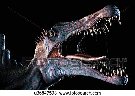 Drawing - Spinosaurus Head Study. Fotosearch