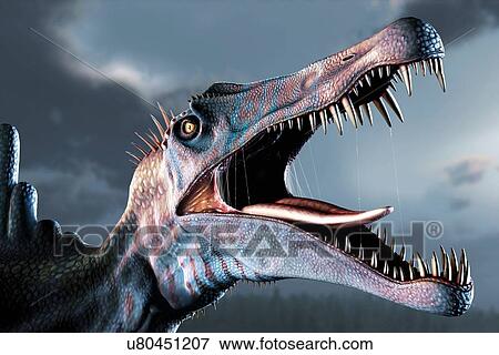 Spinosaurus Head Study View Large Illustration Stock Illustration - Spinosaurus Head Study. Fotosearch