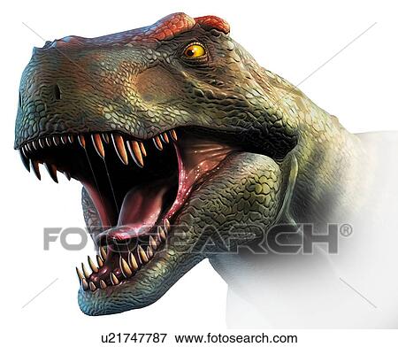 Tyrannosaurus Rex Head Study View Large Illustration Stock Illustration - Tyrannosaurus Rex Head Study. Fotosearch