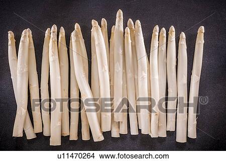 White asparagus View Large Photo Image Picture - White asparagus. Fotosearch