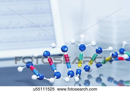 Stock Photography - A model of DNA molecule with a tablet computer displaying results of automated DNA sequencing in the background.. Fotosearch