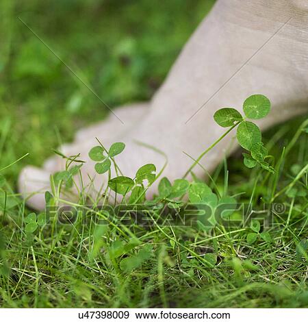 Bare foot in grass View Large Photo Image Stock Photo - Bare foot in grass. Fotosearch