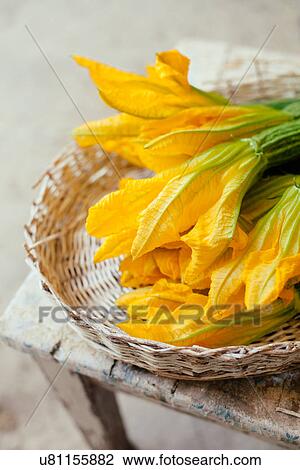 "Basket of fresh courgette flowers, Tuscany, Italy" View Large Photo Image Stock Image - "Basket of fresh courgette flowers, Tuscany, Italy". Fotosearch