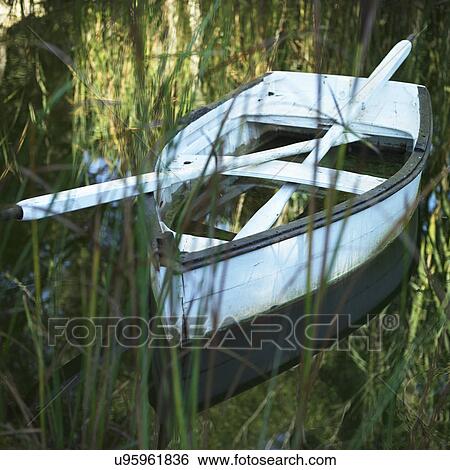 Boat and oars in lake hidden behind tall grass View Large Photo Image Stock Photograph - Boat and oars in lake hidden behind tall grass. Fotosearch
