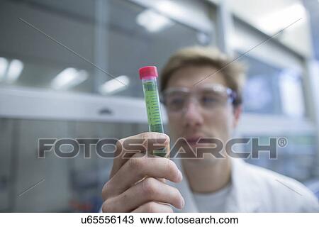 Stock Image - Close up of male scientist hand holding up test tube. Fotosearch