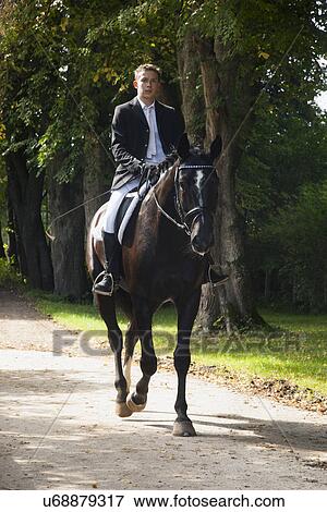 Dressage horse and rider View Large Photo Image Stock Photo - Dressage horse and rider. Fotosearch