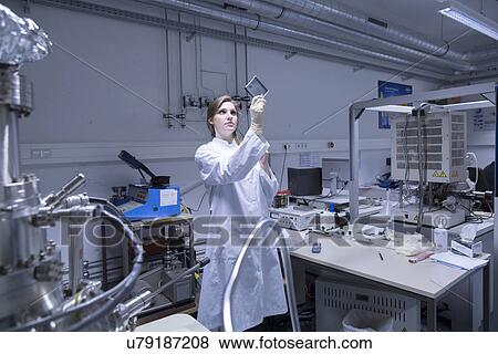 Female scientist examining microscopy slide in lab View Large Photo Image Stock Photo - Female scientist examining microscopy slide in lab. Fotosearch